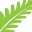dynamite.net.nz