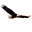 eagledroneimaging.com