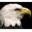 eaglescout.org