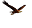 eagletechnosys.com