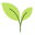 earthlife.net