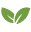 earthlymatters.ca