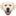 ebbertretrievers.com