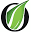 ebomclinic.com