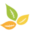 eco-vera.ro