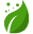 ecologytheme.com