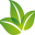 ecolomania.ro