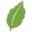 econsulting.com.br