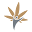 edenaromata.com