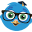 edubirdie.com