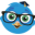edubirdie.io