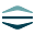 effectivesoftware.com