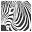 ehlers-danlos.org