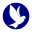 eirenicon.com