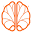 ekdomneuropsychology.com