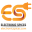 electronicspices.com