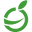 elgrocer.com