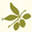 eliarestaurant.com