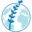 eliewieselfoundation.org