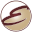 elitecoach.com