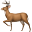 elk.sh