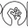 elpoder.com.py