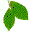 elvish.org