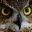 empoweredowl.com