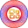 emyeutinhoc.com