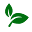 environize.com