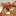 epichamster.com