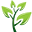 eppo.org
