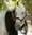 equinessence.com