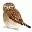 erbirds.ru