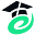 essaywriting.com.pk