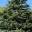 evergreen-investing.com