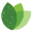 evergreen.pl
