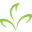everon.com