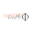 everphi.com