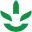 evolutionofsmooth.ca