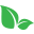 evolveorganic.com.au