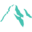 ewa.capital
