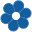 express-fleurs.com
