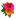 expressflower.ph