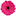 expressionsfloral.co.nz