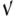 exvital.de