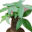facaishur.com