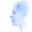 face-rec.org