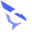 falcon.design