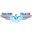 falconetrade.com